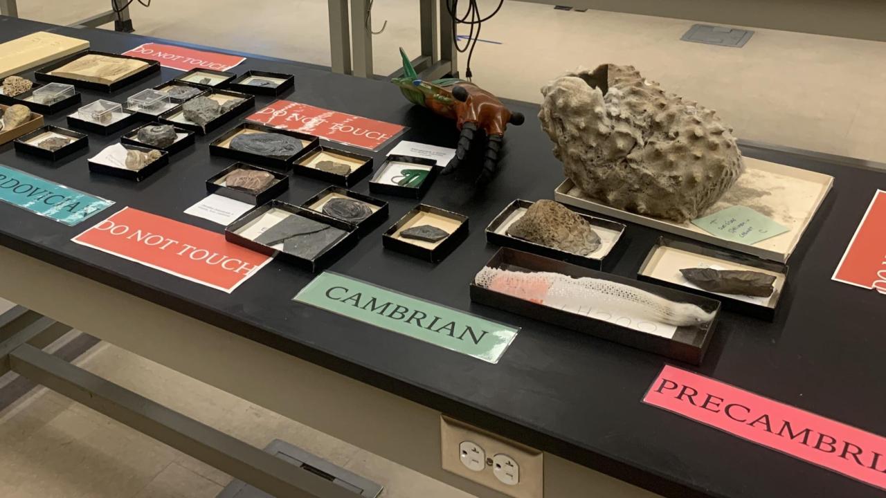 Bio Diversity Day 