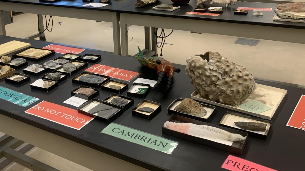 Bio Diversity Day 