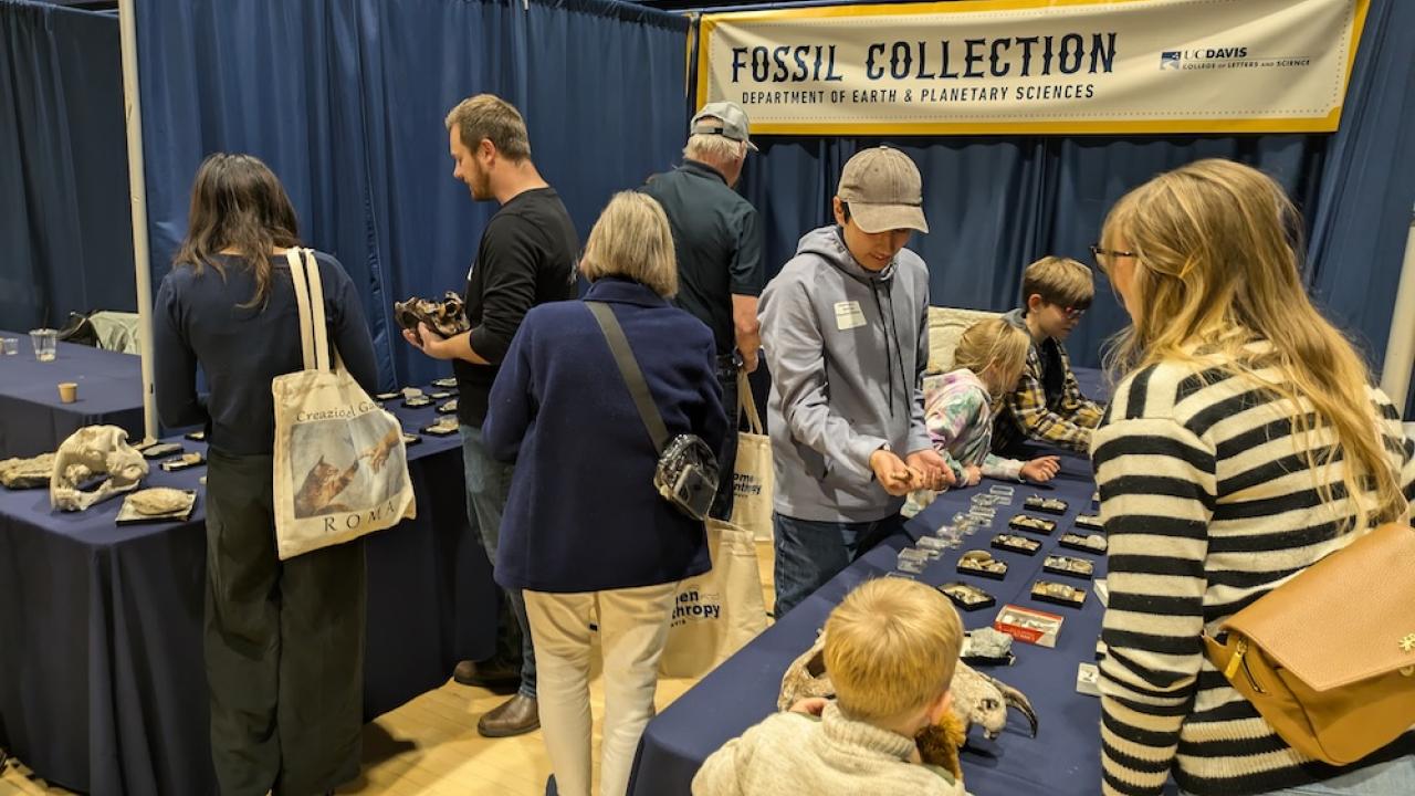 Fossil Collection at Greatest Show Event